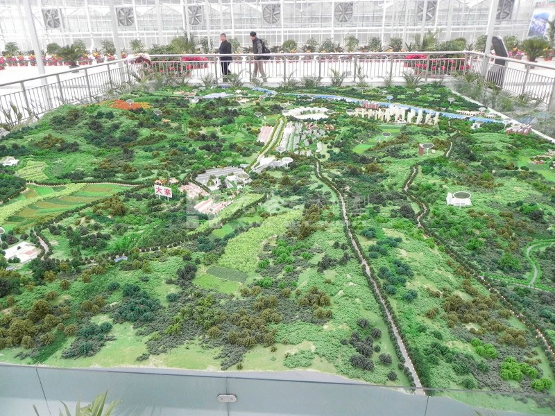 区域模型4